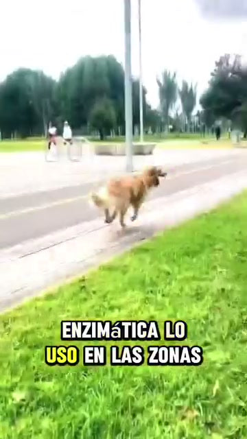 El frasco real de ODOR ZERO sobre una mesa de madera