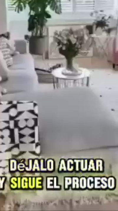 Persona usando el spray ODOR ZERO en casa (4 de 10)